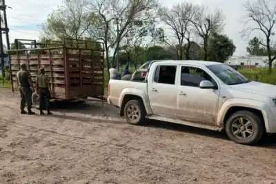 Ruta 152: frenaron una Amarok con tráiler y se toparon con lo que llevaba adentro