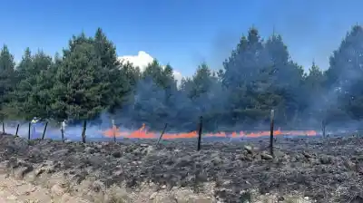 El fuego avanzó sobre el cerro, pero la reacción de cuatro cuarteles cambió la historia en Villa Berna
