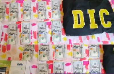 Acusó a sus empleadas por la plata que faltaba, pero al ordenar su casa encontró algo que lo cambia todo