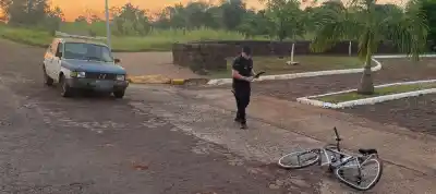Le picaron abejas mientras manejaba y terminó embistiendo a un ciclista: lo que se sabe