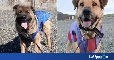 Nadie los eligió nunca: los hermanos inseparables que siguen esperando en Río Gallegos