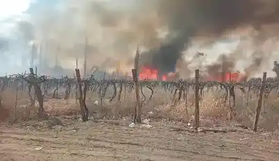 El viento Zonda avivó las llamas en San Martín: lo que el fuego se llevó en minutos