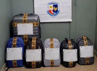 Salieron a recorrer Merlo y cuando volvieron a la cabaña faltaba casi todo