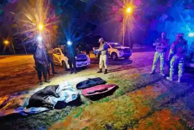 Salieron de caza con dos fusiles y un jabalí faenado: lo que no tenían los delató