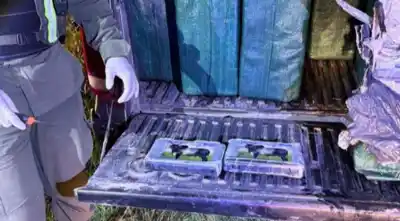 Hallaron 456 kilos de cocaína en una camioneta: el sello que los delató no era el que esperaban