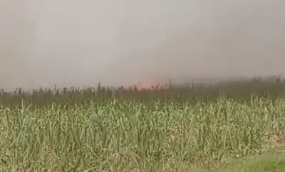 El fuego volvió a los cañaverales del sur tucumano y los vecinos dieron el primer aviso