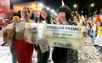 La FNE distinguió a dos carrozas y lo que usaron para armarlas sorprendió al jurado