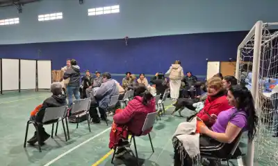 Castraciones y vacunas gratis en Comodoro: el barrio que fue elegido y la cifra que sorprendió