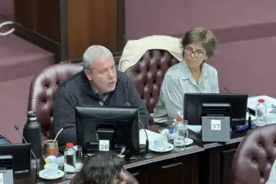San Luis: el plan de Poggi para los deudores que se define esta semana en Diputados