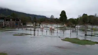 El agua los rodea, pero su mayor miedo no es quedar aislados