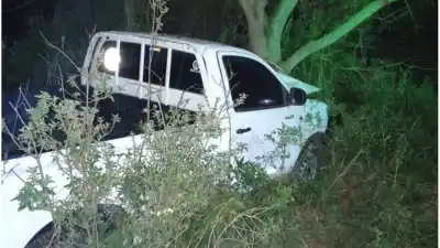 Salió del kiosco, tomó la ruta y terminó contra un árbol: lo que dijo a la policía cuando le preguntaron