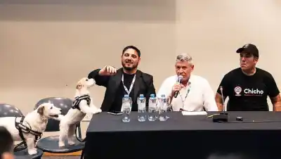 Entre Ríos abre sus puertas a las mascotas: el plan que ya tiene números