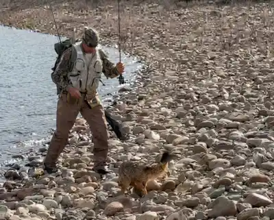 Fue a pescar al Limay y terminó en una pelea inesperada: «Truchas pelea cualquiera, mi amigo peleó un zorro»