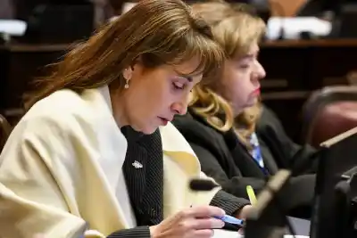 Lo que los senadores libertarios votaron y que hará subir la boleta de gas en Tierra del Fuego