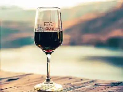 La feria de vinos que convierte a San Martín de los Andes en la capital de la Patagonia vitivinícola