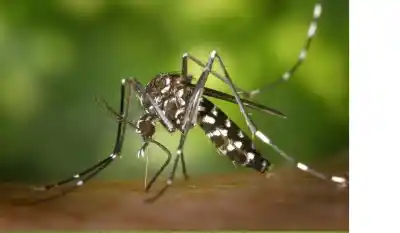 Un virus se propaga con rapidez en el norte: duplican los casos en una semana