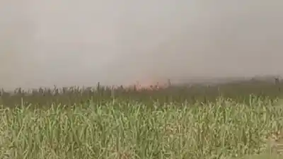 Dos cañaverales ardiendo en Alberdi y una pregunta que los vecinos no logran responder