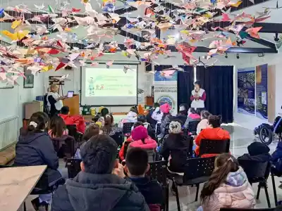 Río Grande se prepara para recibir a las aves playeras: lo que se viene en octubre