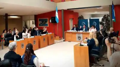 Aprobaron el observatorio de redes en Viedma: dos concejalas se plantaron y el motivo generó ruido