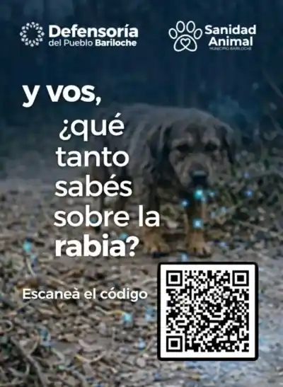 Vacunan a sus mascotas, pero un dato dejó en alerta a Sanidad Animal