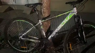 Forcejearon un portón, se llevaron una bici y la Policía los esperaba