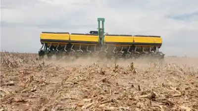 El campo puso US$ 14.747 millones sobre la tierra: ¿qué cultivo se llevó la mayor tajada?