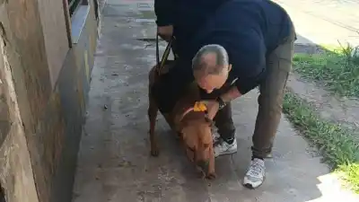 Lo dejaban en una terraza pese a que no podía caminar bien: lo que encontraron los rescatistas