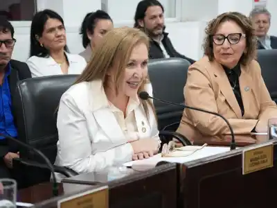 Una diputada deja su banca y ya tiene reemplazante: la votación que sorprendió a todos