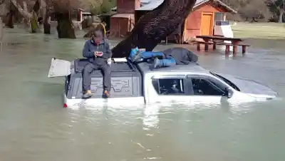 Un móvil de TN quedó a merced de la corriente en Río Negro y terminó apoyado contra un árbol