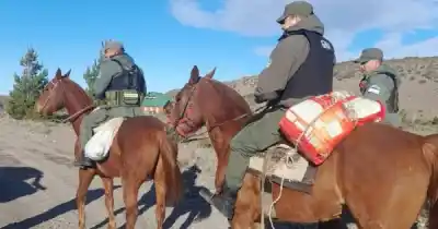 Ocultas entre la vegetación: el hallazgo que complicó a los pescadores en el río Jeinimeni