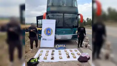 El pasajero que viajaba en el micro no sabía que llevaba 20 kilos de cocaína en su mochila
