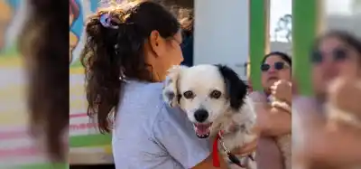 Posadas: los operativos veterinarios gratuitos llegan a más barrios, mirá dónde