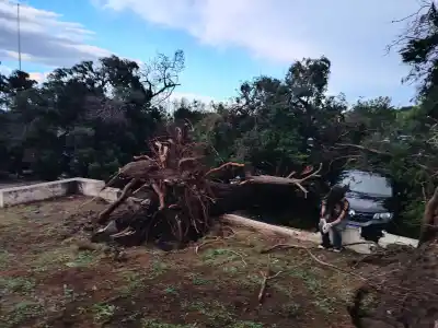 Santa Rosa premia a los héroes anónimos del temporal: nadie sabe quiénes son hasta el miércoles