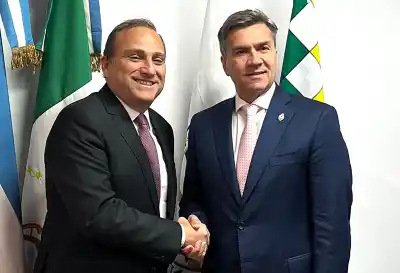 Zdero se reunió con Portugal: el plan que podría cambiar el futuro de la madera chaqueña