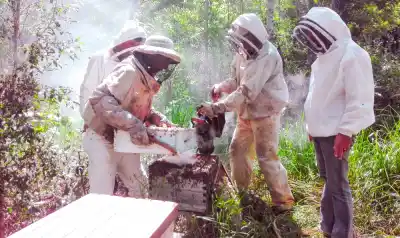 Misiones: la miel que se coló entre los premios y ya tiene su propia marca