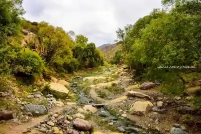 El agua de Jáchal no llega hasta donde todos creían: el dato que cambia todo