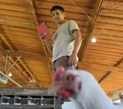 De trozar pollos a manejar 400 mil aves: el entrerriano que creó una app desde las aulas de Uader