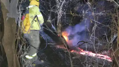 El fuego ya arrasó más de 9.000 hectáreas en Formosa: ¿hasta dónde puede llegar?