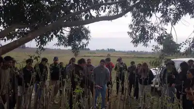 Alumnos de Virasoro pisaron un monte de pecán de 10 años: lo que vieron adentro no está en los libros