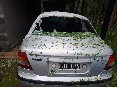 El granizo golpeó cuatro veces en un año: la advertencia que puede dejar a miles sin cobertura