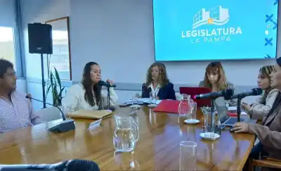 La Justicia deberá explicar el proceso de guarda y adopción del bebé de Rancul: el STJ aceptó el recurso de la pareja