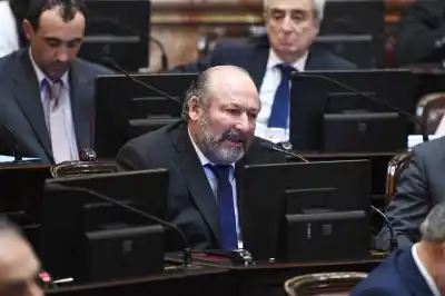 Se levantaron seis senadores radicales y el Senado quedó al borde de no sesionar: qué pasó adentro del recinto