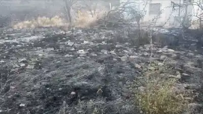 El error que cometen muchos vecinos en sus patios y que puede terminar en una tragedia