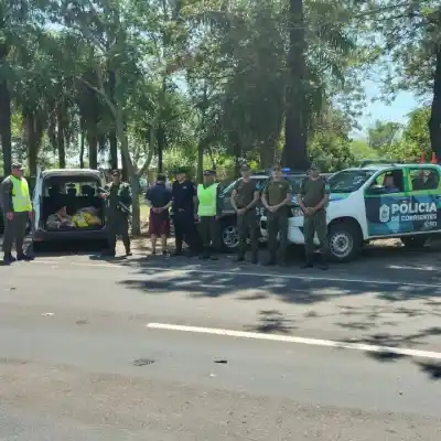 Ruta 12: lo frenaron en un control y no pudo explicar qué hacía con la carne que llevaba