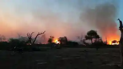 Tres meses sin una gota de lluvia: el fuego arrasó campos del oeste formoseño y ahora todos miran al cielo