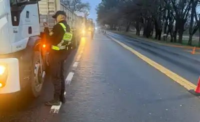 Le hicieron la señal al camionero, revisaron los papeles y no lo podían creer