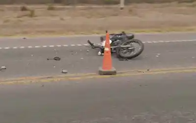 Un motociclista chocó contra una vaca en Circunvalación y terminó en el hospital