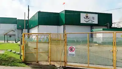 1.200 despidos en Granja Tres Arroyos: el gremio rechaza la prórroga que frena los pagos