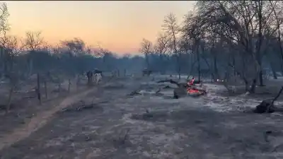 El fuego llegó a 20 metros del corral y se llevó lo que más dolía: "Chiquititos eran"