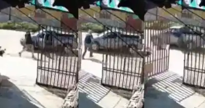 Un jubilado intentó evitar el robo de su herramienta de trabajo y terminó arrastrado por el delincuente